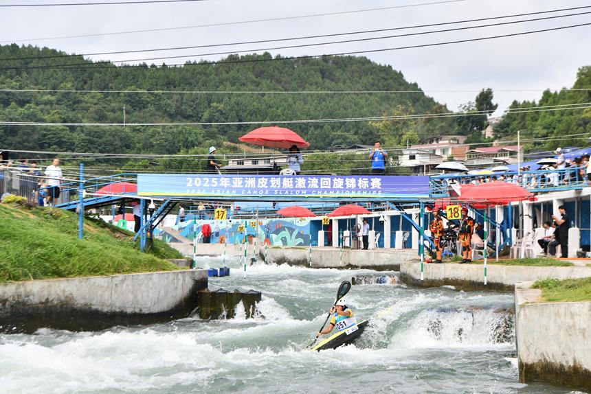 cn, img, msn cn, img, msn