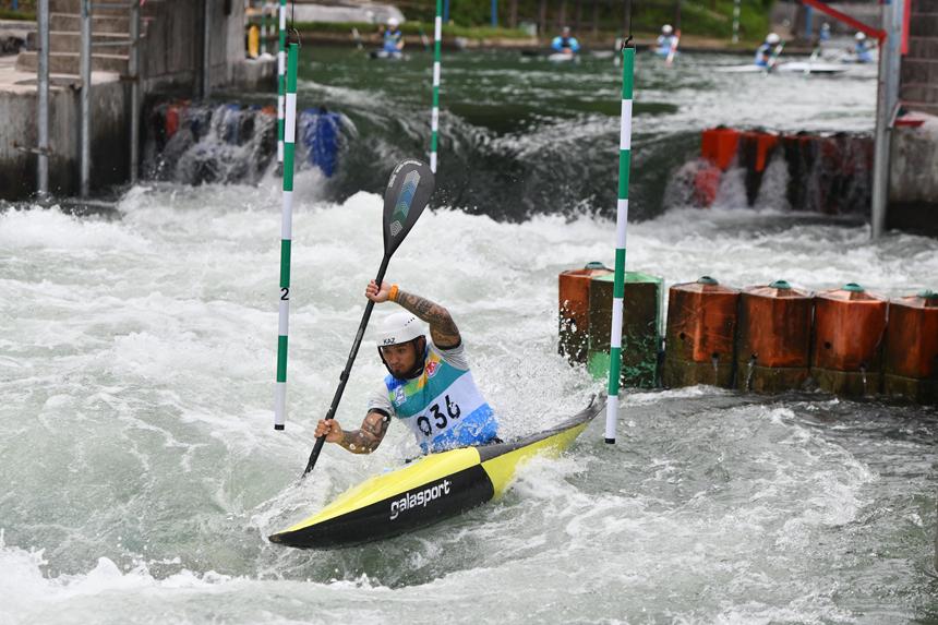 msn, img, 下司犬迎宾 msn, img, 下司犬迎宾