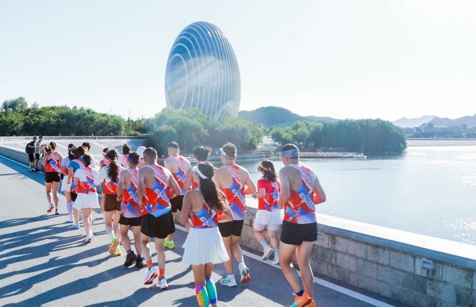 升级, 栗花 升级, 栗花